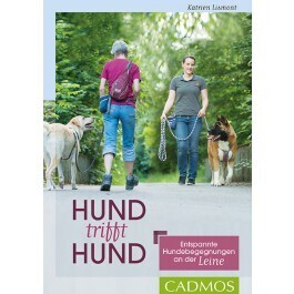 Katrien Lismont: Hund trifft Hund