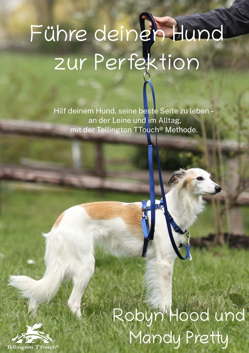 Robyn Hood u. Mandy Pretty: Führe deinen Hund in seine Perfektion
