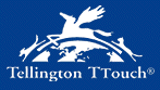Offizieller Tellingtonshop